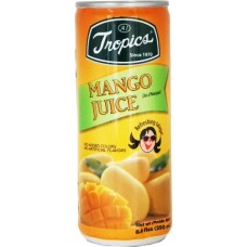20.24800 - AI MANGO NECTAR 24x250ml