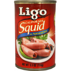 45.50312 - LIGO SQUID 100x155g