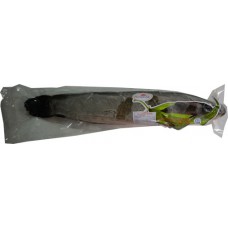 99.73051 - SE MUD FISH (1000up)33lbs